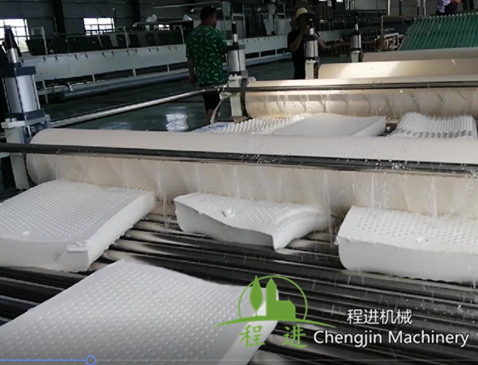 枕頭專用水洗機(jī)